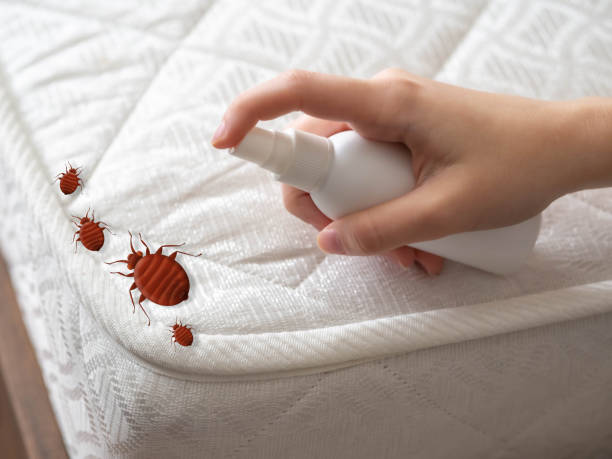 Best Bed Bug Extermination  in Hartland, WI